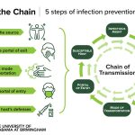 Title: Breaking the Chain: Strategies for Chronic Disease Prevention and Management